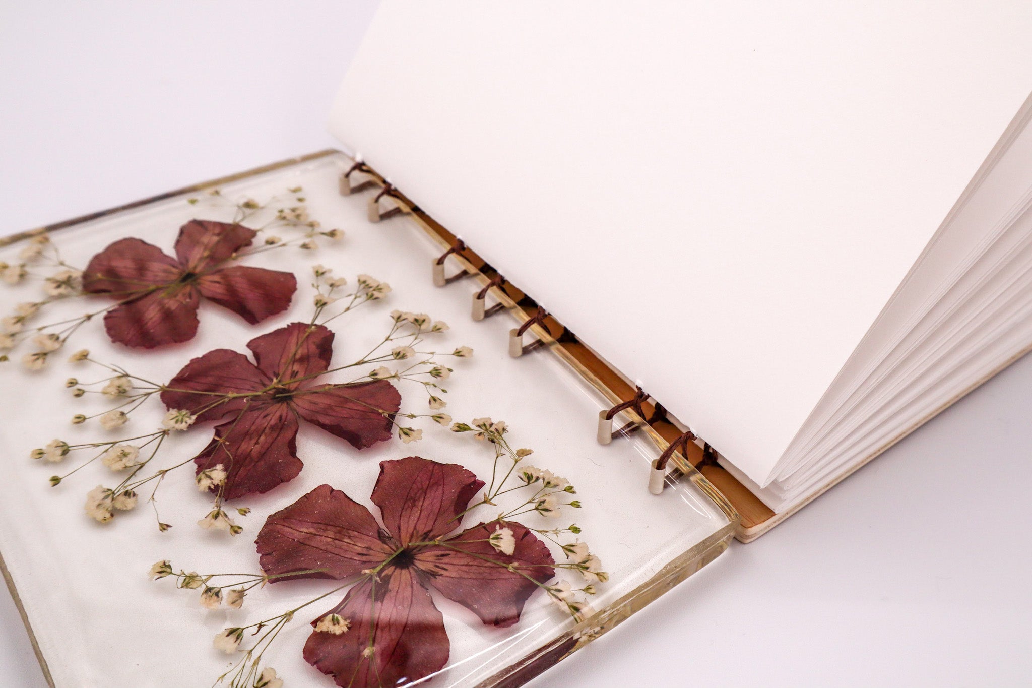 The Darcy Journal
